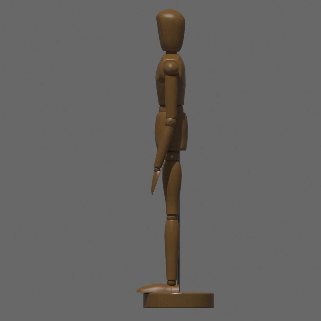 3d Artist S Figure Model