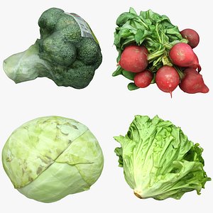 salad radish vegetable model