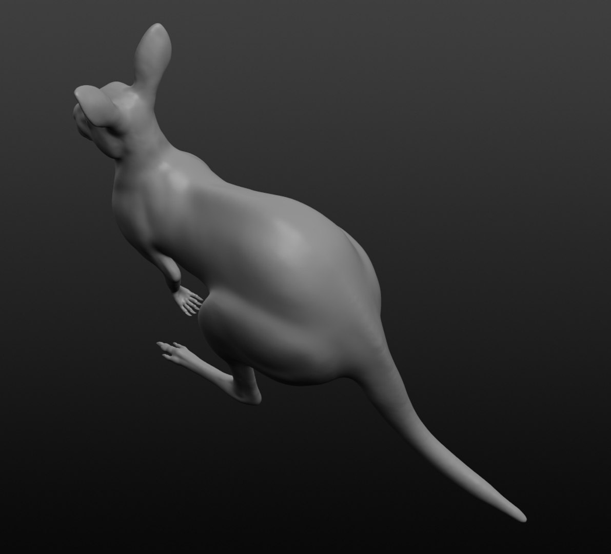 Kangaroo Base Mesh 3D - TurboSquid 1412273