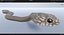 Serpente marrone orientale animato