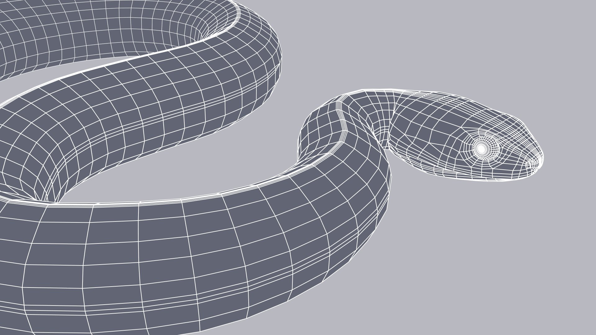 Animated Eastern Brown Snake 3D model https://p.turbosquid.com/ts-thumb/rs/fkdena/HB/easternbrownsnake_prev_wire_007/jpg/1661637083/1920x1080/fit_q87/d7d2177bf45d8fc77ee19685ef2003e2d0ec9a19/easternbrownsnake_prev_wire_007.jpg