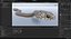 Serpente marrone orientale animato