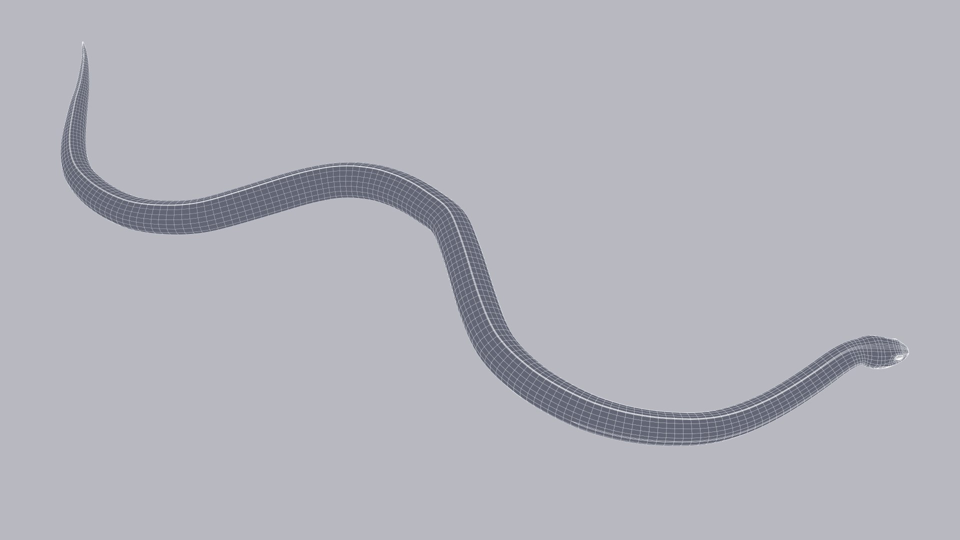 Animated Eastern Brown Snake 3D model https://p.turbosquid.com/ts-thumb/rs/fkdena/VS/easternbrownsnake_prev_wire_010/jpg/1661637084/1920x1080/fit_q87/7b1231aa4ee96f564950d2d414ee7647e0b2d353/easternbrownsnake_prev_wire_010.jpg