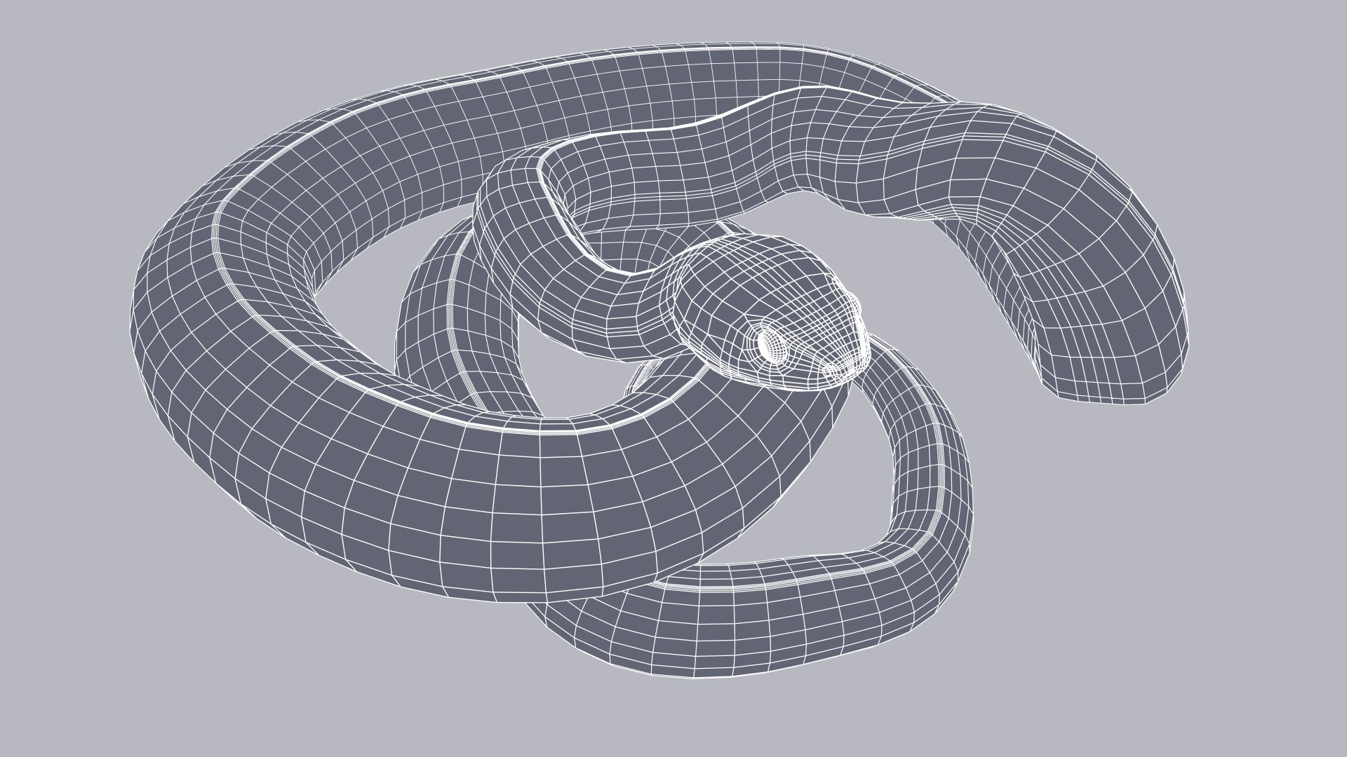 Animated Eastern Brown Snake 3D model https://p.turbosquid.com/ts-thumb/rs/fkdena/bp/easternbrownsnake_prev_wire_013/jpg/1661637084/1920x1080/fit_q87/5c0ab476132de6013d74ed67b1faa15498815e3f/easternbrownsnake_prev_wire_013.jpg