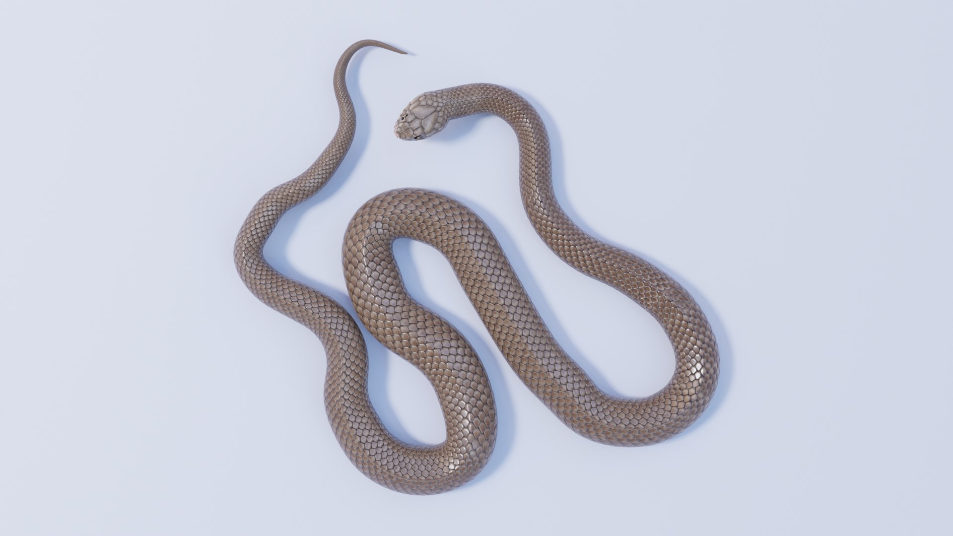 Animated Eastern Brown Snake 3D model https://p.turbosquid.com/ts-thumb/rs/fkdena/ew/easternbrownsnake_prev_03/jpg/1661637071/1920x1080/fit_q87/f1ac5ecbd5a6544201273e1d3418b4f7052f66d3/easternbrownsnake_prev_03.jpg