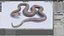 Serpente marrone orientale animato
