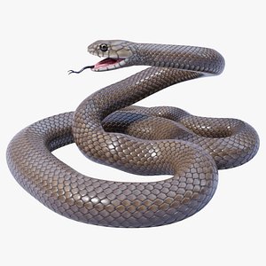 Animated Eastern Brown Snake 3D model