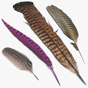 3D Pheasant and Guinea Fowl Feathers Set Brown Fur