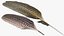 Pheasant and Guinea Fowl Feathers Set Brown Fur
