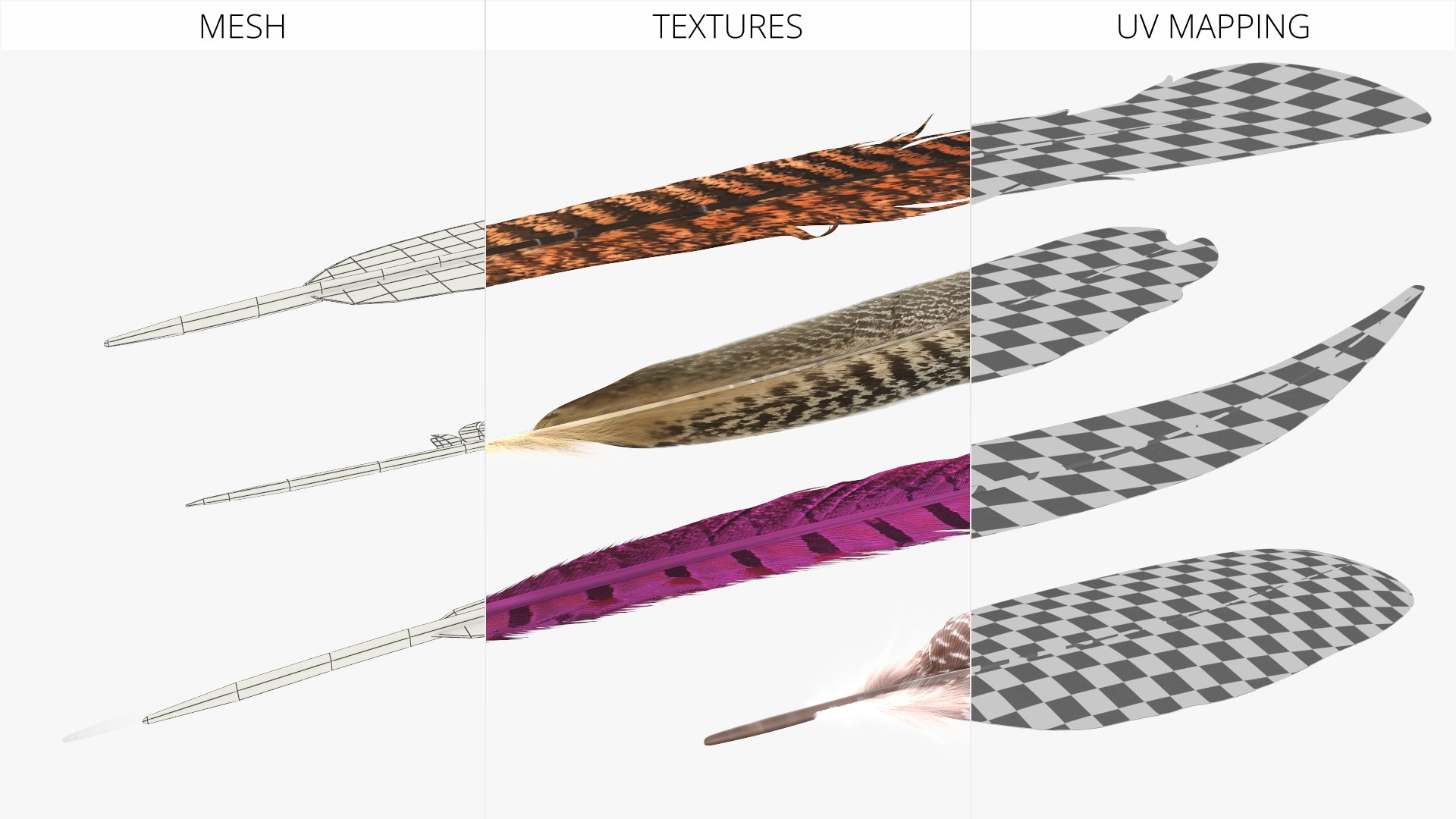 3D Pheasant and Guinea Fowl Feathers Set Brown Fur https://p.turbosquid.com/ts-thumb/rs/otbd3P/Vx/pheasant_and_guinea_fowl_feathers_set_brown_fur_007/jpg/1782340945/1920x1080/fit_q87/d3300852d996d287243332e3249d43df153aab58/pheasant_and_guinea_fowl_feathers_set_brown_fur_007.jpg