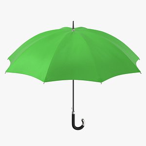 3D Umbrella 01 Green model