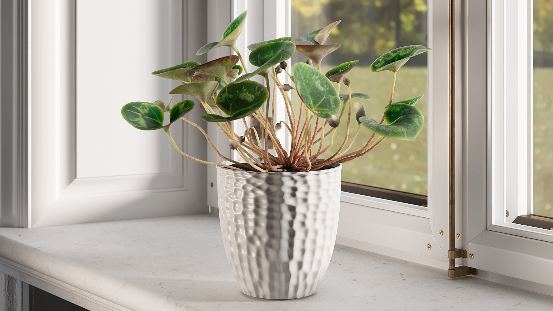 3D Cyclamen with Windows model https://p.turbosquid.com/ts-thumb/rt/HKEWAw/JM/0028/jpg/1626852135/1920x1080/fit_q87/b453a9c937d03f2869af25c9d9b11622ff8e78e1/0028.jpg