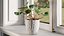 Cyclamen with Windows