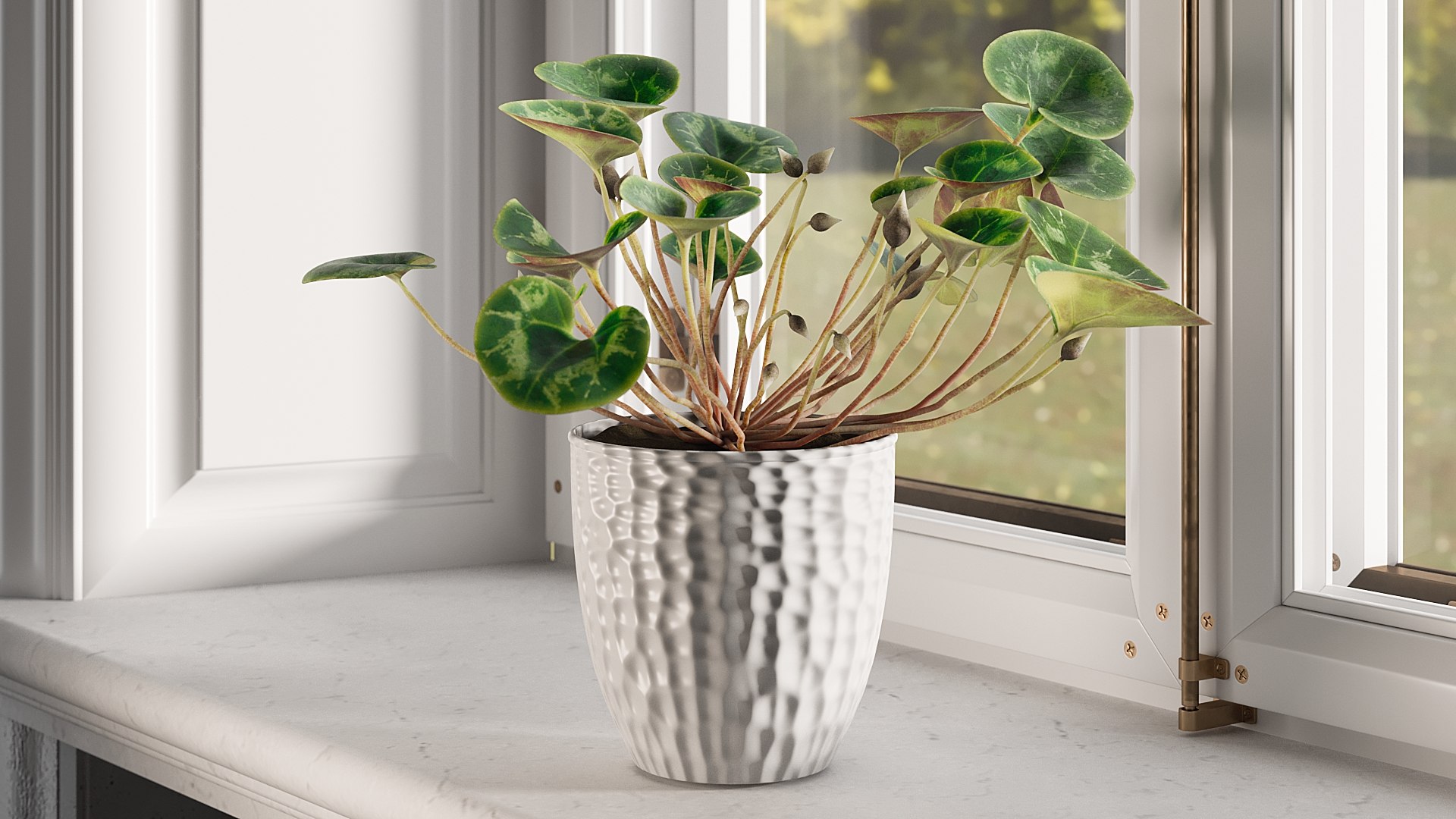 3D Cyclamen with Windows model https://p.turbosquid.com/ts-thumb/rt/HKEWAw/OU/0009/jpg/1626852132/1920x1080/fit_q87/1a5d5016542f6cbf142d72ccd048744f026dbfd7/0009.jpg