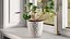 Cyclamen with Windows