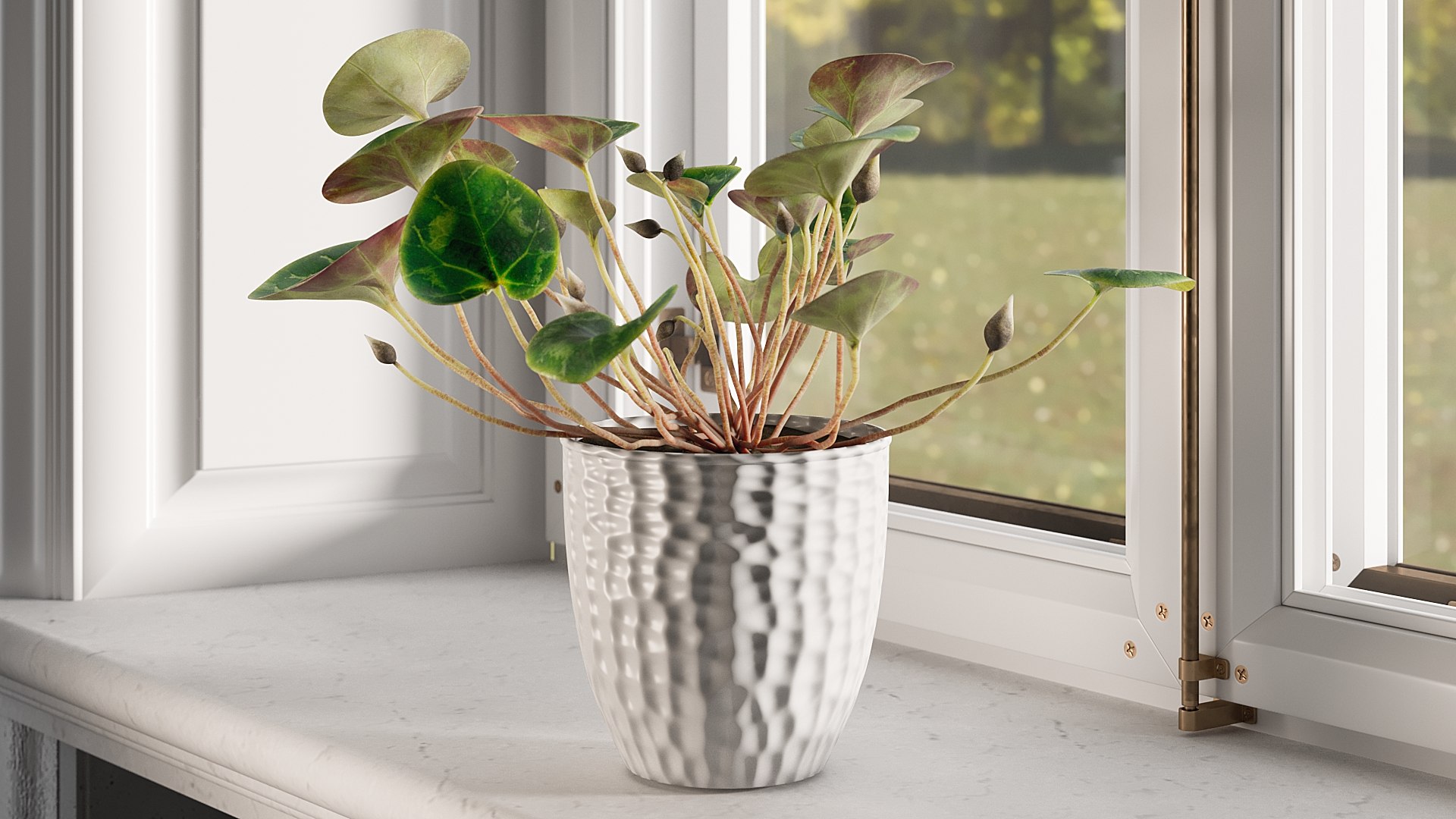 3D Cyclamen with Windows model https://p.turbosquid.com/ts-thumb/rt/HKEWAw/Rp/0023/jpg/1626852135/1920x1080/fit_q87/692f386291074689334d418dc863b3b78c2d1f14/0023.jpg