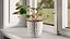 Cyclamen with Windows