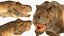 3D tyrannosaurus rex walking animal