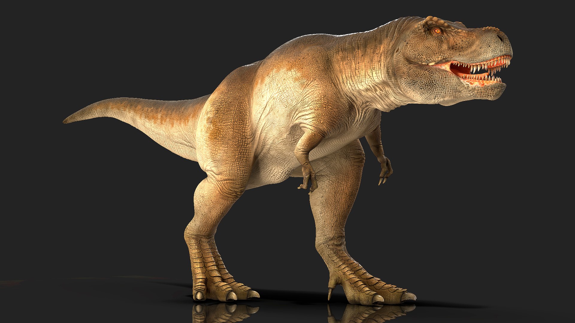3D tyrannosaurus rex walking animal https://p.turbosquid.com/ts-thumb/rt/Is4utG/ycRpzFhj/animatedtyrannosaurusrexwalkingriggedmb3dmodel001/jpg/1575267955/1920x1080/fit_q87/093caf803c11141a45d4b32cd97207cdd8da1316/animatedtyrannosaurusrexwalkingriggedmb3dmodel001.jpg