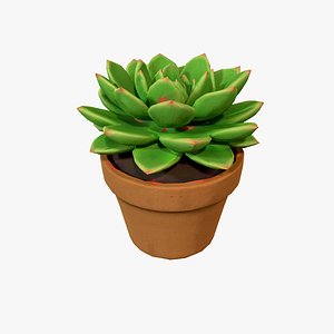 Succulent Plant 3D