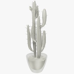 Cactus in Transparent Pot V4