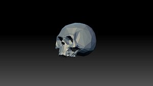 3D skull low poly model