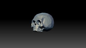 skull low poly