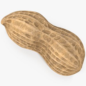 peanut 1 3D model