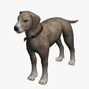 3d dog brown