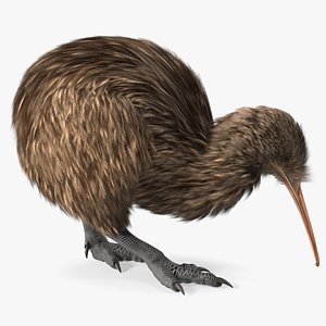 3D Cute Kiwi Bird Fur