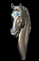 horse head cavallo testa