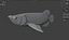 50 Fish Sea Creature Collection v3
