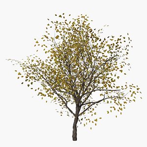 orange autumn low poly
