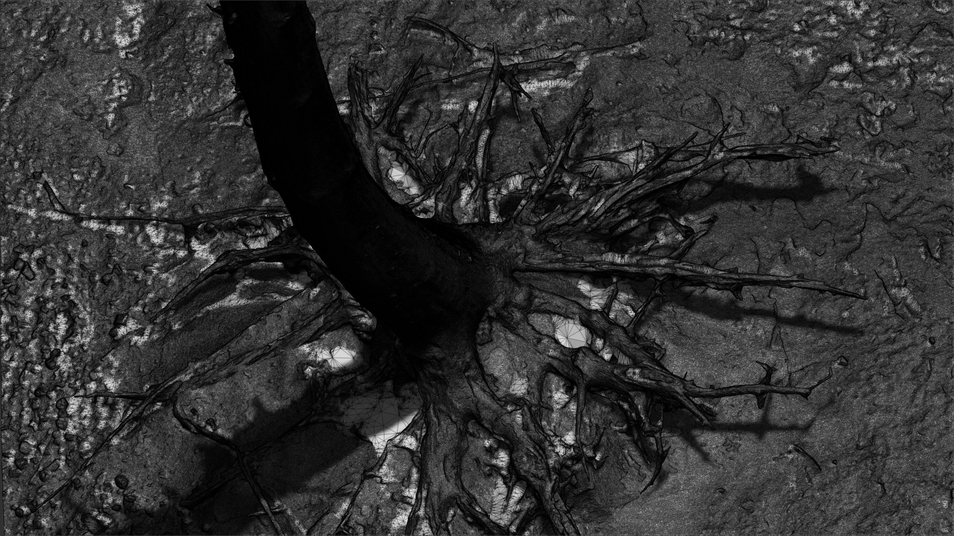 3D Dead Tree 010 - TurboSquid 2376095