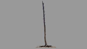Dead Tree 010