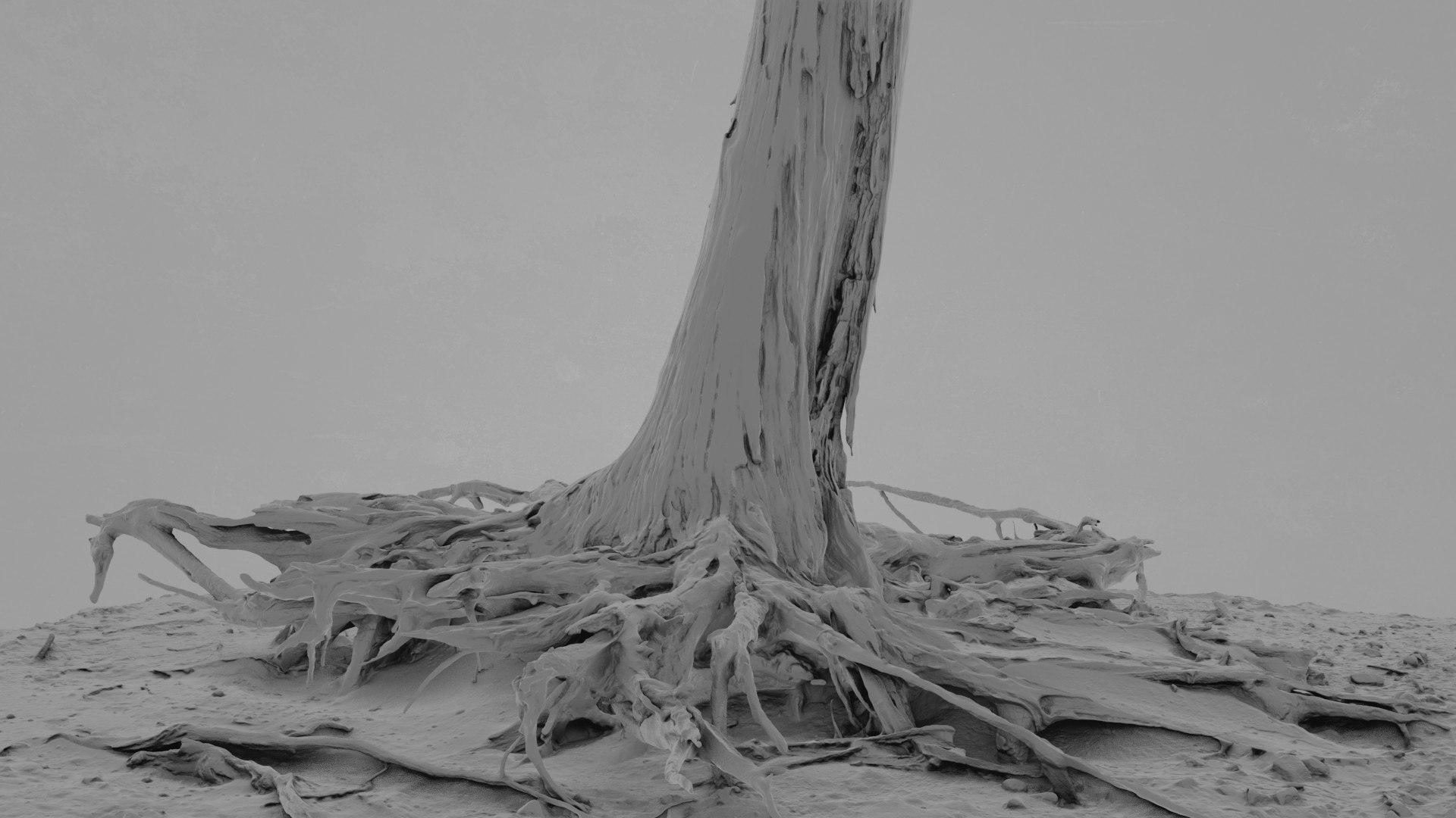 3D Dead Tree 010 - TurboSquid 2376095