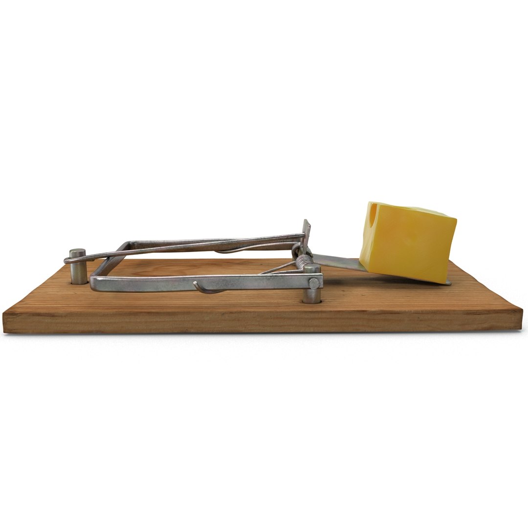 Mousetrap With Cheese 3D, Incl. set & bait - Envato Elements