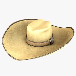 3D model Cowboy Hat
