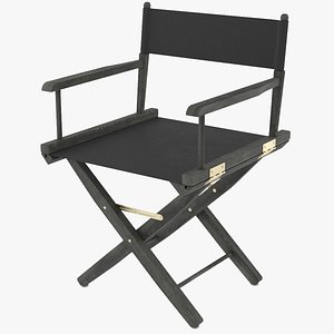 director s chair 3D