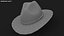 3D hat 5 model