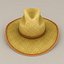 3D hat 5 model