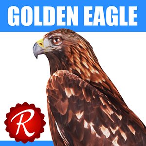3d model of golden eagle