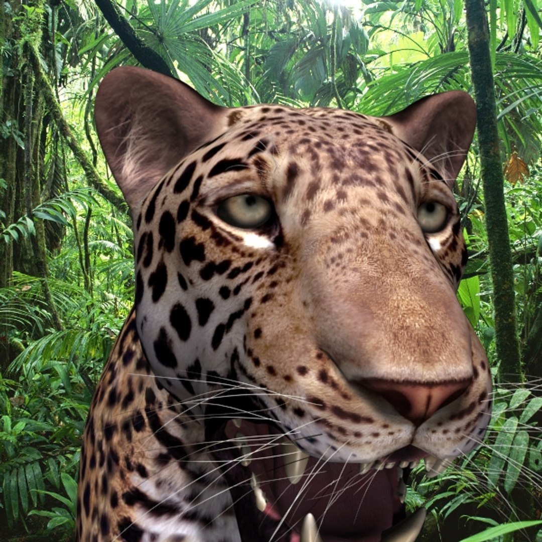realistic jagua 3d model https://p.turbosquid.com/ts-thumb/ru/lbdZ0a/9EjHkDbz/16water/jpg/1367366461/1920x1080/fit_q87/44a18dd518ed0bc13118bfb2e6ab11be8fedc82e/16water.jpg