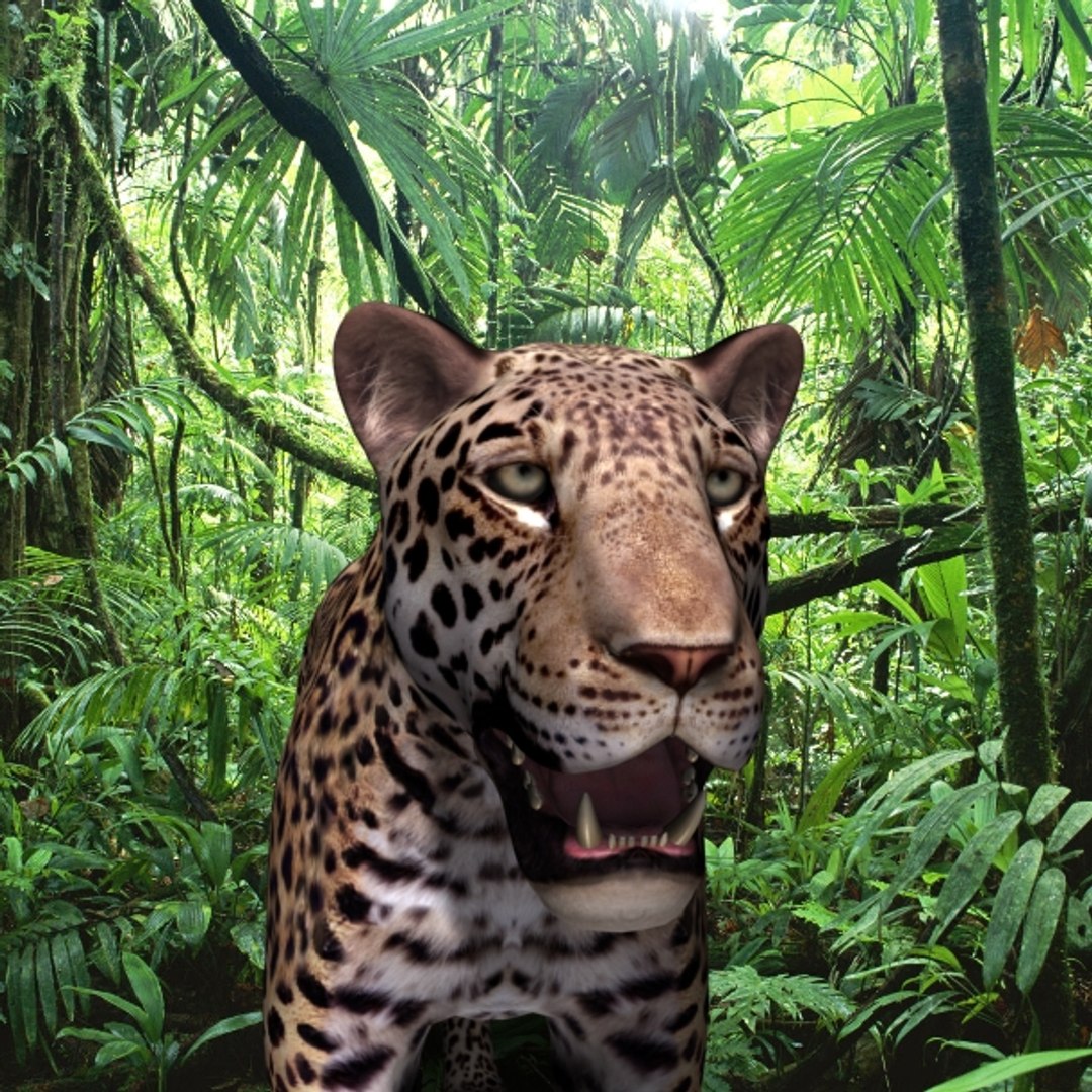 realistic jagua 3d model https://p.turbosquid.com/ts-thumb/ru/lbdZ0a/BXucRPM7/20/jpg/1367366461/1920x1080/fit_q87/55f22d880f9b421057732918836ff991645e5b23/20.jpg