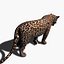 Jaguar réaliste (sans fourrure)