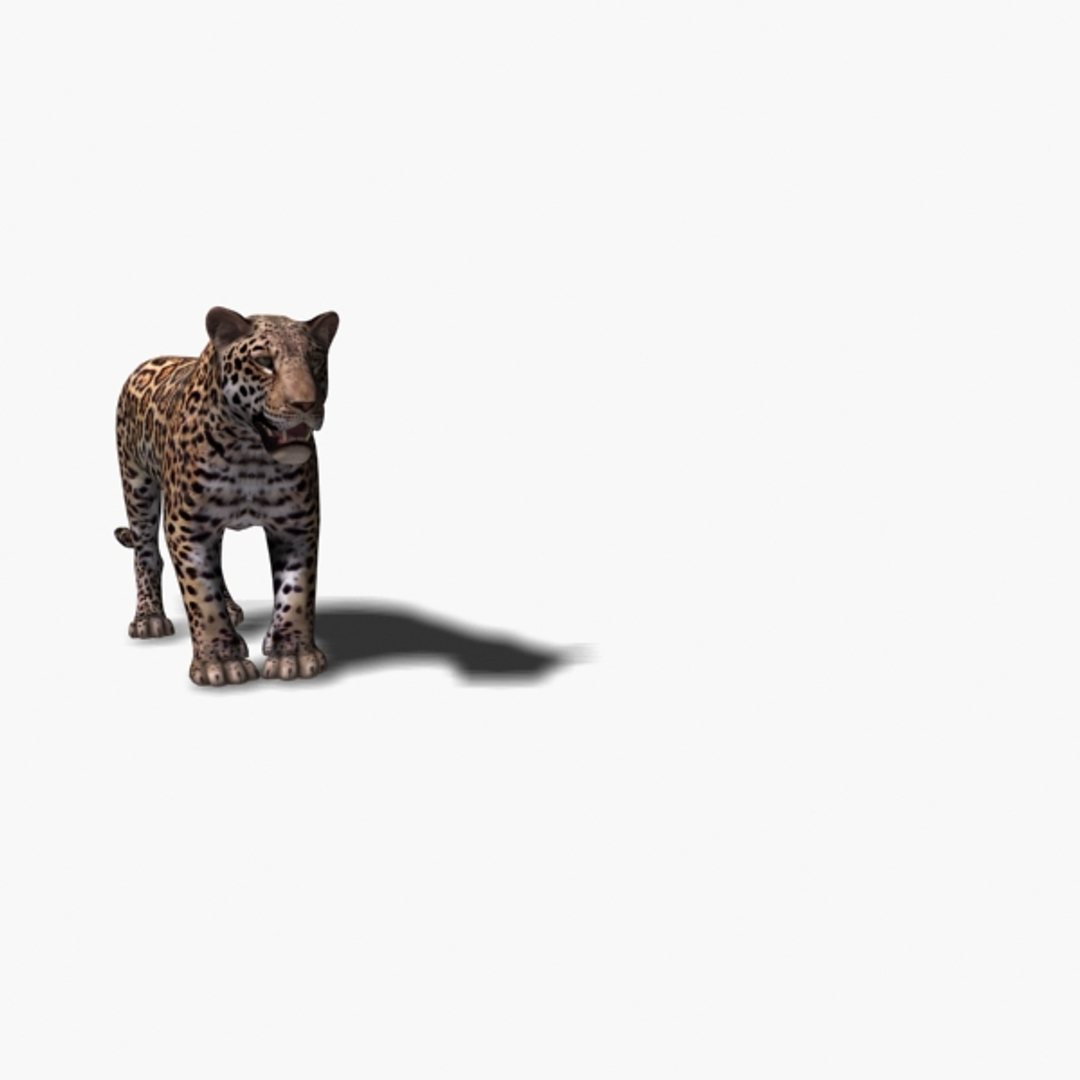 realistic jagua 3d model https://p.turbosquid.com/ts-thumb/ru/lbdZ0a/W1sN1SIU/image/jpg/1367365915/1920x1080/turn_fit_q99/faac74de0403ceaea7fa30504882df78f46c036f/image-1.jpg