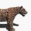 Jaguar réaliste (sans fourrure)