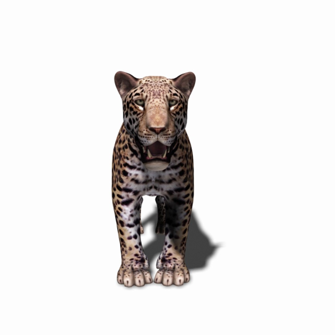 realistic jagua 3d model https://p.turbosquid.com/ts-thumb/ru/lbdZ0a/c6Kf7mge/14/jpg/1367366461/1920x1080/fit_q87/8feeb735301147812be3ff4108b45bc00e5fe734/14.jpg