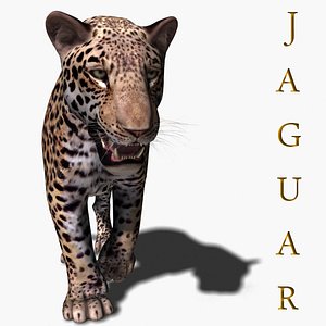 realistic jagua 3d model