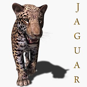 Realistic Jaguar (no fur)